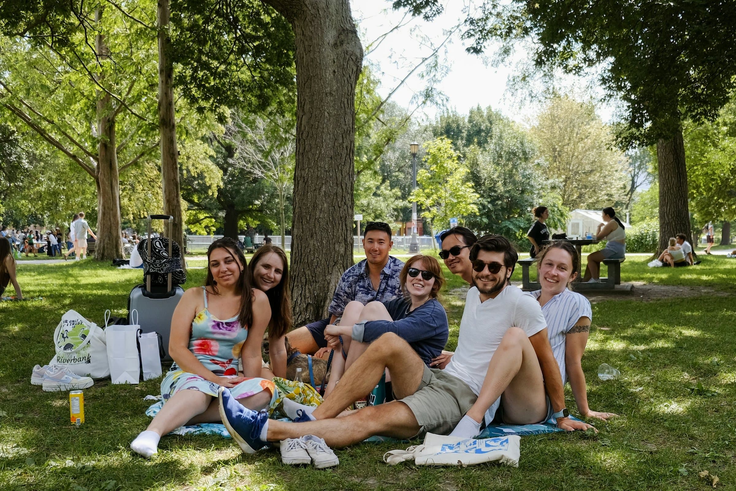 Eight friends on picnic blankets under a big shady tree in a sunny park, smiling at the camera