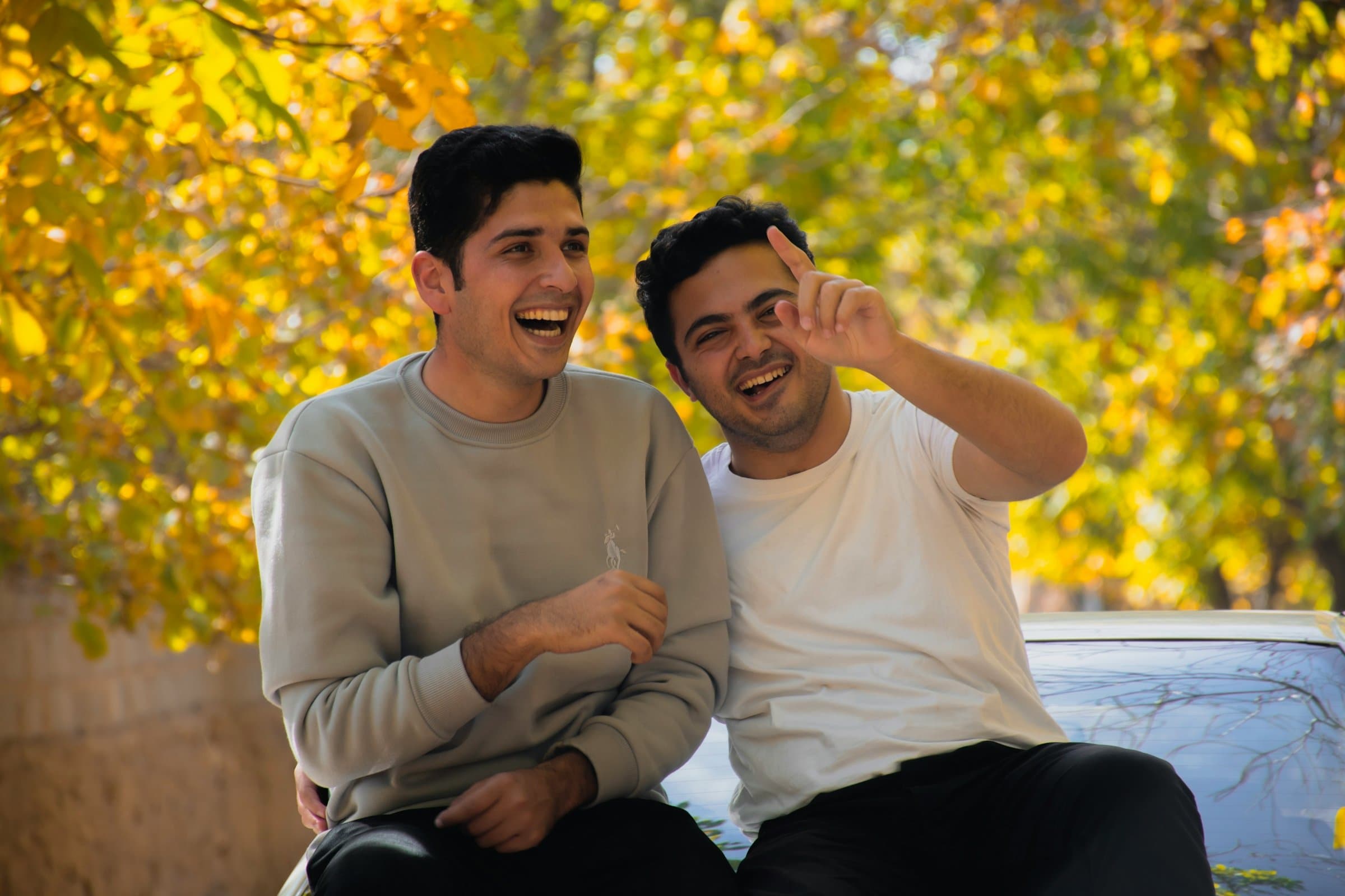 Two young men sit side by side under golden-yellow leaves, laughing hard at a shared joke.